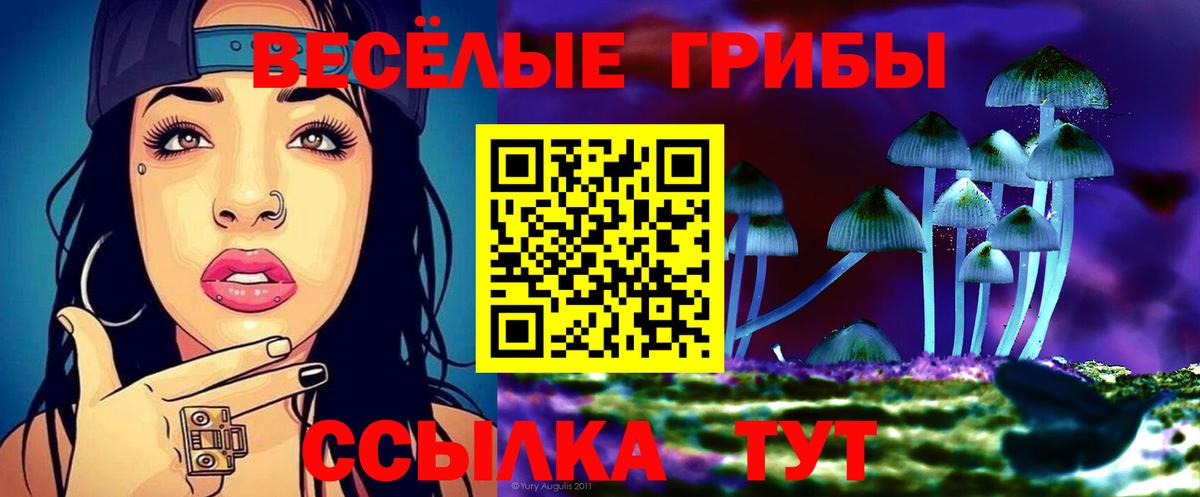 Псилоцибиновые грибы Psilocybine cubensis Нягань